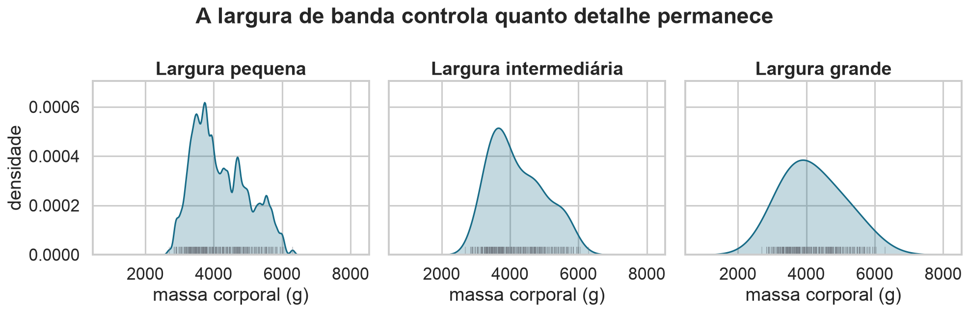 Três KDEs da massa corporal usando larguras de banda pequena, intermediária e grande.
