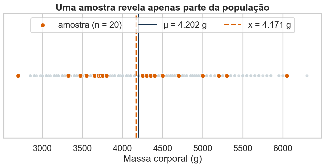 Pontos de massa corporal da população, com uma amostra de 20 pinguins destacada e linhas para a média populacional e a média amostral.