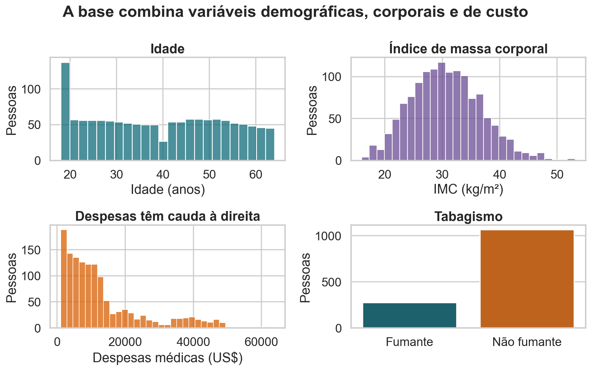 Distribuições de idade, IMC, despesas e tabagismo.